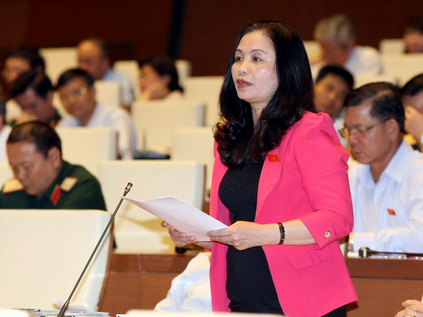 Thống nhất giữ nguyên mô hình tổ chức chính quyền địa phương ảnh 1