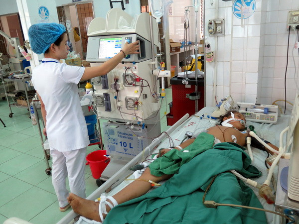 Đã có 1 nạn nhân tử vong trong vụ ăn nhầm nấm độc ở Kon Tum ảnh 1