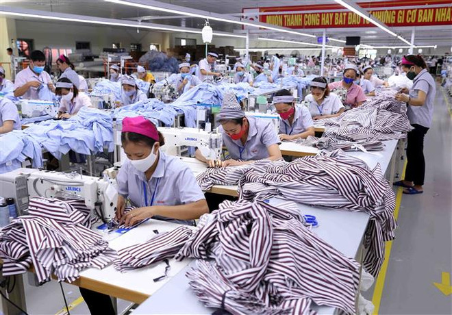 Ứng dụng chuyển đổi số: Mô hình xuất khẩu linh hoạt ảnh 1