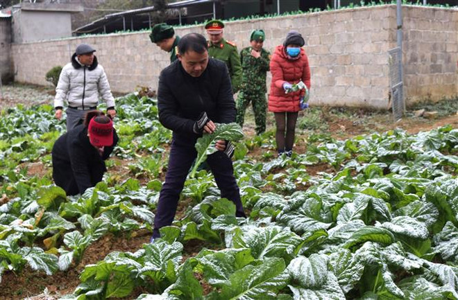 Đêm 10/1, không khí lạnh tăng cường, vùng núi cao có thể có mưa tuyết ảnh 2