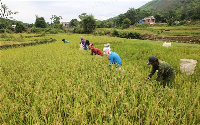 48 năm giải phóng Quảng Trị: Khát vọng vươn lên trên miền 'đất lửa' ảnh 3