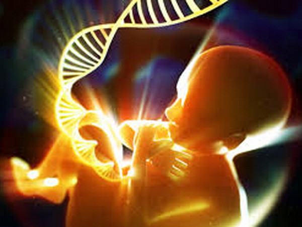 Nga chế tạo thiết bị theo dõi sự phát triển của thai nhi ảnh 1