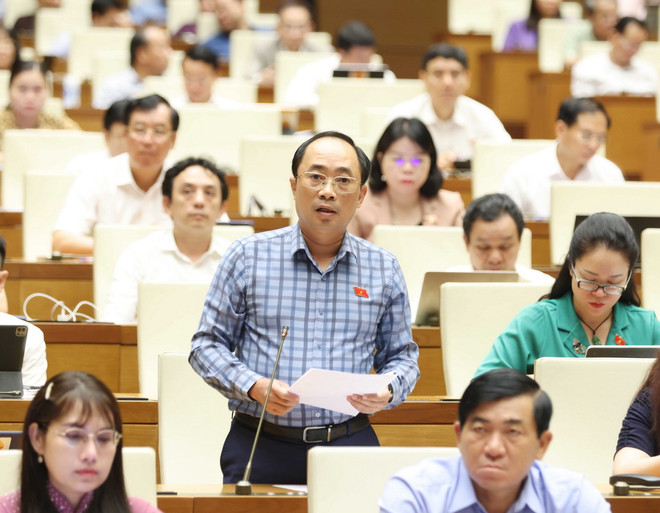 ttxvn_0306_dai bieu quoc hoi.jpg