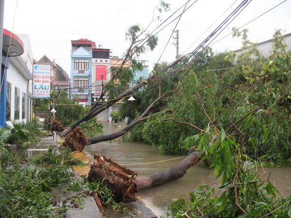 Bão số 1 ảnh hưởng nghiêm trọng cuộc sống người dân Hà Nội, Thái Bình ảnh 2
