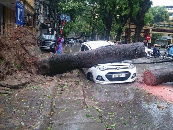 Bão số 1 ảnh hưởng nghiêm trọng cuộc sống người dân Hà Nội, Thái Bình ảnh 1