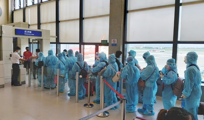 Phối hợp đưa gần 280 công dân Việt Nam từ châu Âu về nước ảnh 1