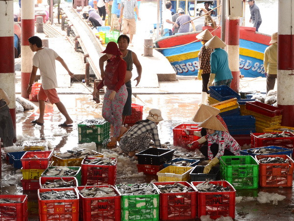 Minh bạch, công khai trong khắc phục "thẻ vàng" cho thủy sản Việt Nam ảnh 2