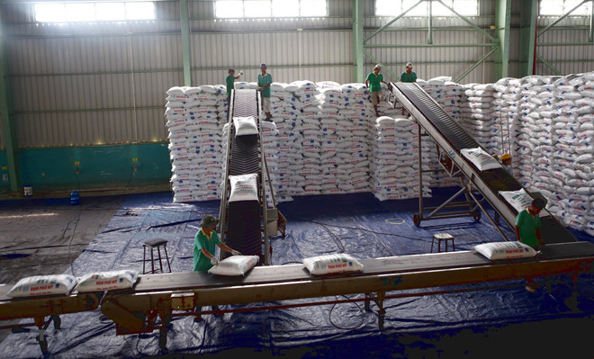 Vận chuyển đạm Phú Mỹ tại kho hàng của PVFCCo tại Cần Thơ. (Ảnh: Huy Hùng/TTXVN) Tổng Thư ký VFA: Phân bón tăng giá, hiện tượng găm hàng có thể xảy ra ảnh 1