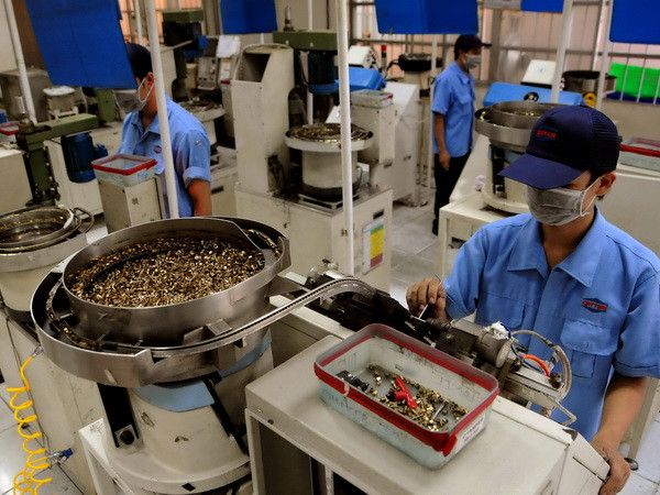 Thúc đẩy quan hệ hợp tác Việt Nam và Trung Đông-châu Phi ảnh 1