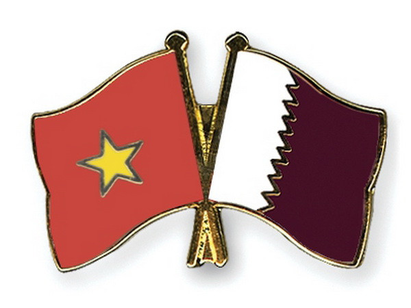 Tham vấn chính trị thứ nhất giữa Bộ Ngoại giao Việt Nam-Qatar ảnh 1