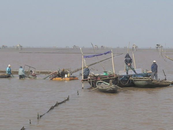 Tìm thấy thi thể thứ 2 vụ lật thuyền chở ngao ở Thái Bình ảnh 1