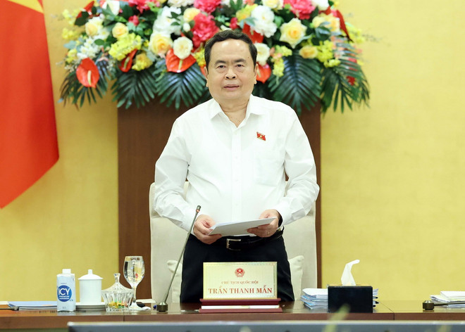 ttxvn_1106_tran thanh man.jpg