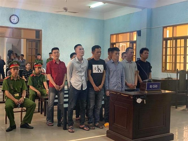 Tuyên án các đối tượng trong đường dây vận chuyển gỗ ở Gia Lai ảnh 1