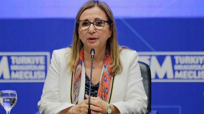 Thổ Nhĩ Kỳ giảm thuế nhập khẩu đối với một số hàng hóa Mỹ ảnh 1