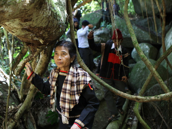 Dịp Tết Ất Mùi 2015, hơn 47.000 du khách đến Đắk Lắk du Xuân ảnh 1