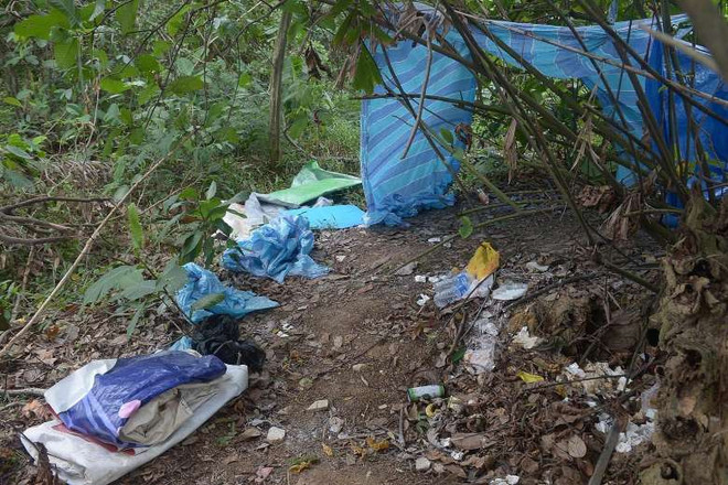 Hình ảnh về động mại dâm nằm trong rừng ở Công viên Punggol (Nguồn: Straits Times) Singapore phát hiện động mại dâm quy mô "nằm trong rừng" ảnh 1