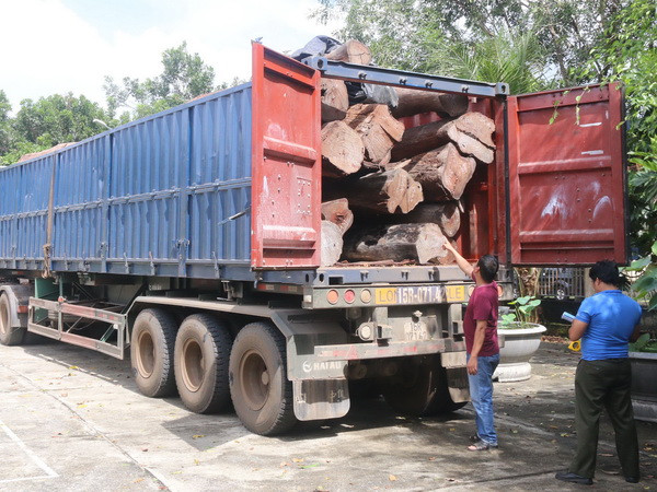 Tạm giữ xe container chở 17m3 gỗ căm xe trên đường Hồ Chí Minh ảnh 1