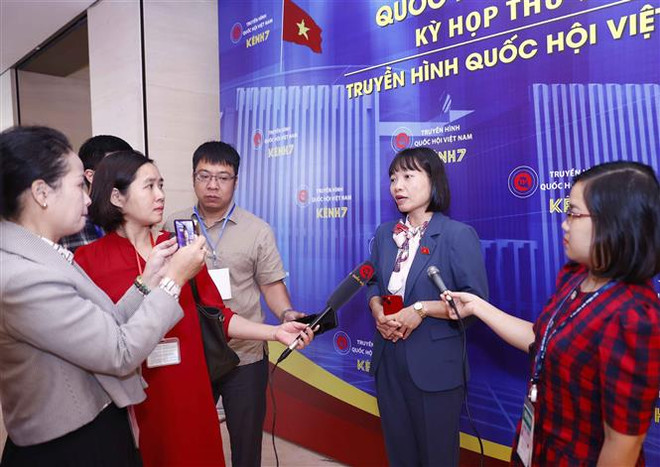 Ngành thanh tra còn phát hiện tiêu cực trong chính công tác thanh tra ảnh 1