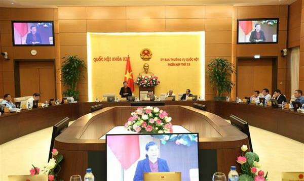 Phó Chủ tịch Thường trực Quốc hội Tòng Thị Phóng phát biểu ý kiến thảo luận. (Ảnh: Dương Giang/TTXVN) Làm rõ việc xóa tư cách chức vụ đối với cán bộ, viên chức nghỉ hưu ảnh 1