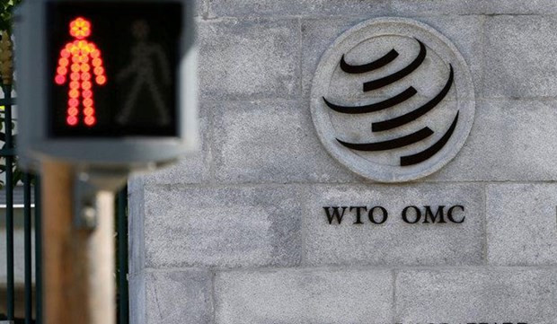 WTO: Những vấn đề cần giải quyết sau chặng đường 25 năm ảnh 1