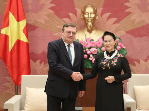 Chủ tịch Quốc hội tiếp Đại sứ Thụy Điển và Đại sứ Hungary ảnh 2