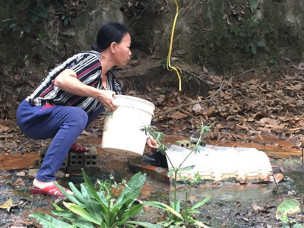 Khu xử lý chất thải của Công ty Cù Lao Xanh gây ô nhiễm môi trường ảnh 2