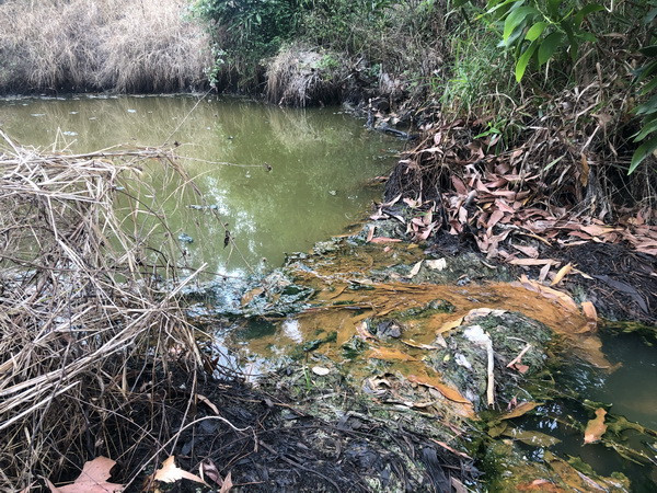 Khu xử lý chất thải của Công ty Cù Lao Xanh gây ô nhiễm môi trường ảnh 5