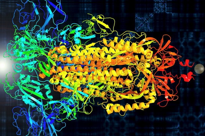 Biến virus SARS-CoV-2 thành âm nhạc để hỗ trợ nghiên cứu ảnh 1