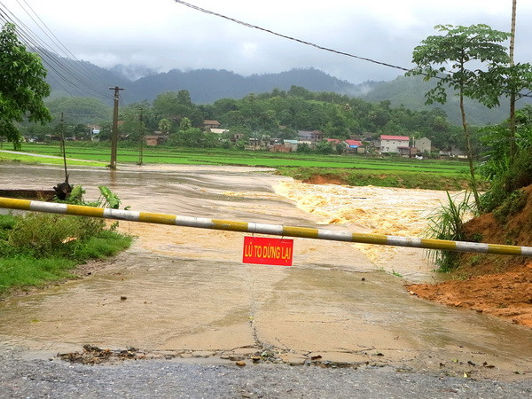 Lâm Đồng: Khẩn trương tìm kiếm nạn nhân bị nước cuốn mất tích ảnh 1