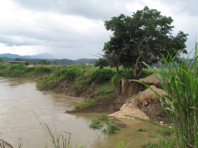 Sông Krông Nô sạt lở nghiêm trọng, hàng trăm ha đất sản xuất biến mất ảnh 1