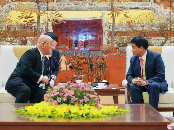 Lễ hội hoa anh đào sẽ là dấu ấn kỷ niệm 45 năm ngoại giao Việt-Nhật ảnh 1