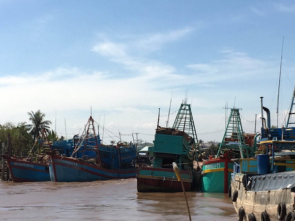 Tàu, thuyền tránh trú bão tại Cảng cá Bình Thắng, huyện Bình Đại, tỉnh Bến Tre. (Ảnh: Trần Thị Thu Hiền/TTXVN) Các tỉnh Nam Bộ triển khai biện pháp ứng phó khẩn cấp bão Tembin ảnh 1