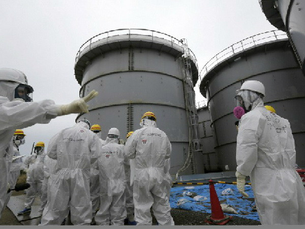 Nhật tháo dỡ thanh nhiên liệu ở nhà máy Fukushima ảnh 1