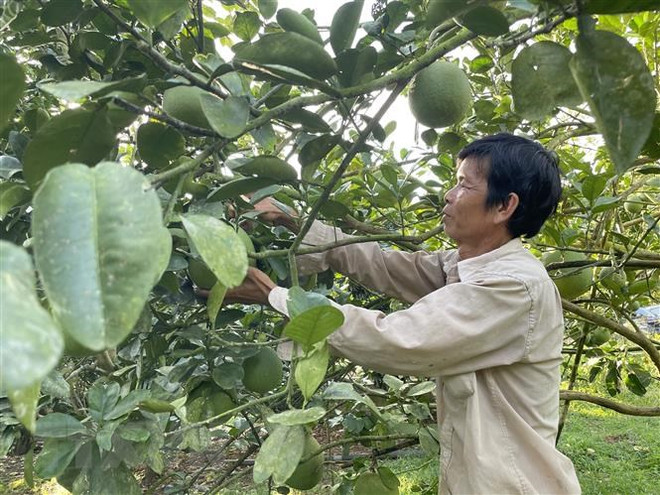 Bà Rịa-Vũng Tàu dự kiến dành 536 tỷ đồng xây dựng nông thôn mới ảnh 1