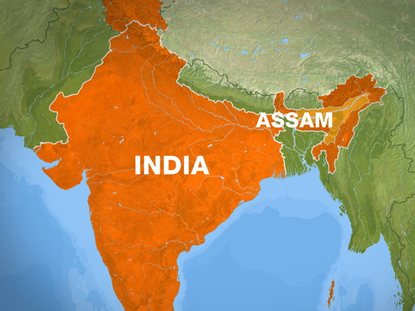 Tấn công khủng bố đẫm máu ở Ấn Độ làm 7 người thiệt mạng ảnh 1