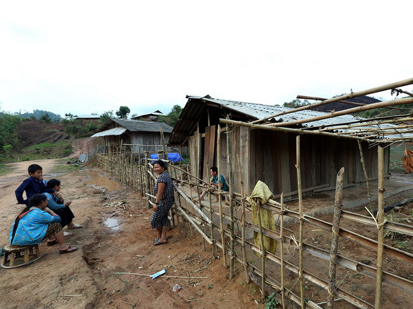 Tập trung giải quyết tình trạng phá rừng và di cư tự do ở Mường Nhé ảnh 1