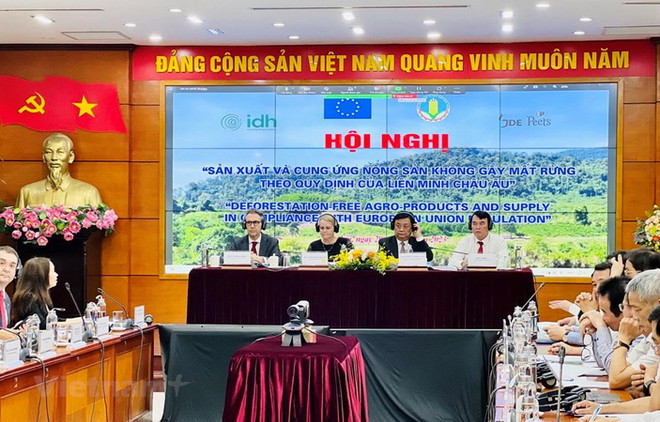 Nói “không” với sản xuất nông nghiệp gây phá rừng: Tránh hô khẩu hiệu ảnh 1