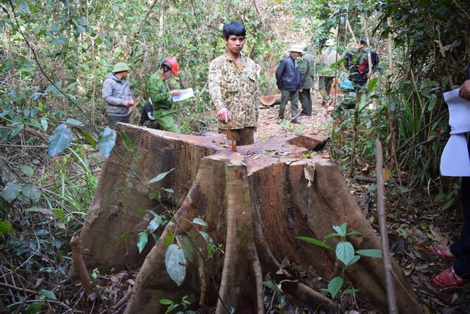 Nói “không” với sản xuất nông nghiệp gây phá rừng: Từ bỏ tư duy cũ ảnh 2