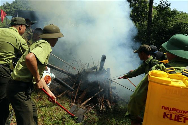 Lãng phí dự án phòng cháy, chữa cháy rừng tại Đắk Nông ảnh 1