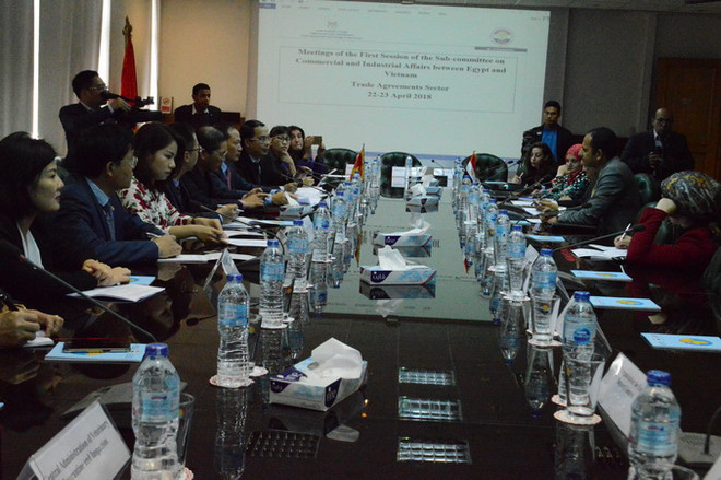 Các đại biểu tham gia thảo luận tại kỳ họp thứ nhất Tiểu ban Thương mại và Công nghiệp Việt Nam-Ai Cập. (Ảnh: Nguyễn Trường/Vietnam+) Việt Nam-Ai Cập tăng cường hợp tác về thương mại và công nghiệp ảnh 1