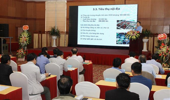Diễn đàn đầu tiên về phát triển thị trường ngao, hàu các tỉnh phái Bắc ảnh 2