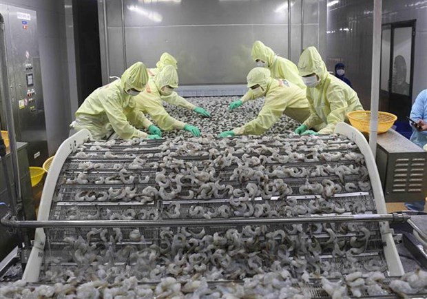 Thích ứng an toàn, linh hoạt để khai thác thủy sản trở lại bình thường ảnh 2