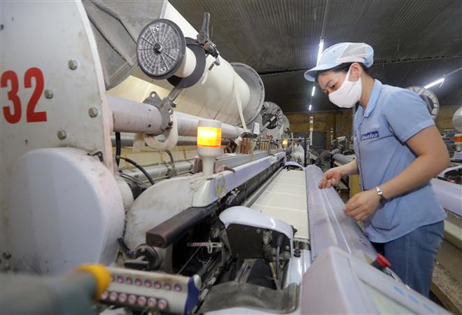 Doanh nghiệp Việt Nam tận dụng các FTA nâng cao vị thế thương hiệu ảnh 1