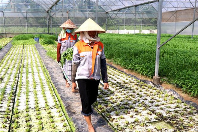 Bám sát Nghị quyết 01 thúc đẩy cải cách hành chính trong nông nghiệp ảnh 1