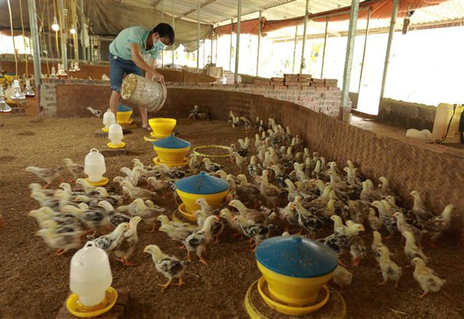 Hà Nội linh hoạt phân khu, 'vùng xanh' bắt nhịp sản xuất ảnh 2