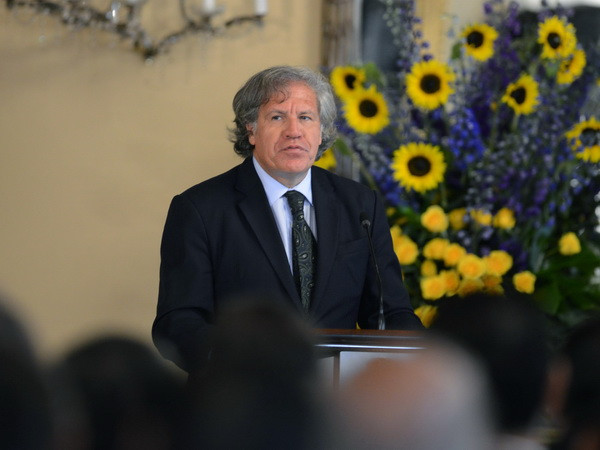 OAS phản ứng về quyết định soạn thảo Hiến pháp mới của Venezuela ảnh 1