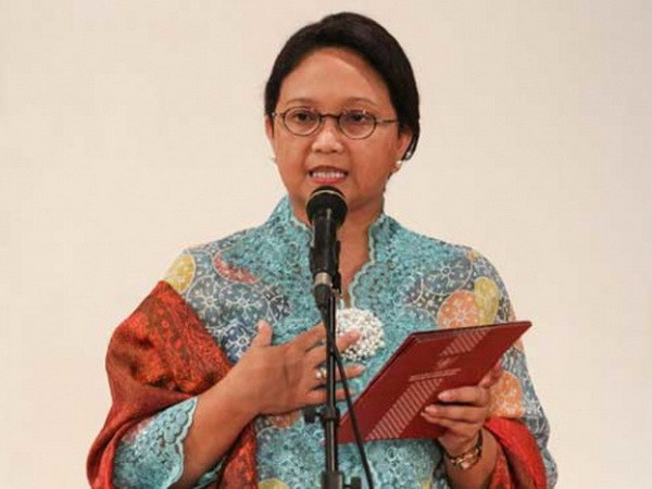 Indonesia kêu gọi ASEAN phản đối chiến dịch hạn chế tiêu thụ dầu cọ ảnh 1