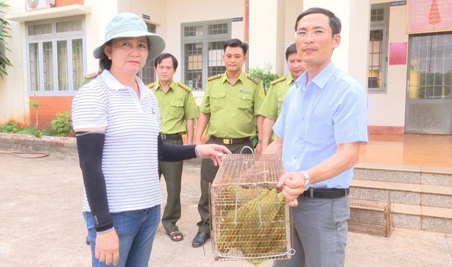 Bình Phước: Bắt được 2 cá thể rái cá quý hiếm, bàn giao cho kiểm lâm ảnh 1