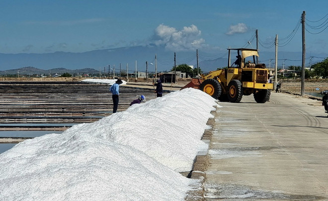 GDP nội tỉnh Ninh Thuận tăng gần 8%, đứng thứ nhất vùng ảnh 1
