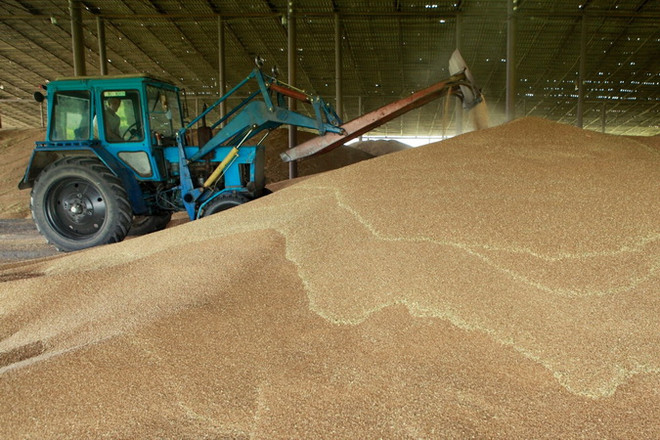 Hội nghị thượng đỉnh Nga-châu Phi về xuất khẩu ngũ cốc của Nga ảnh 1